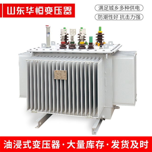 S13-10000/35蓬安蓬安蓬安电力变压器